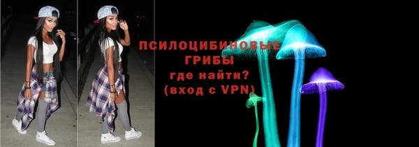 2c-b Ладушкин