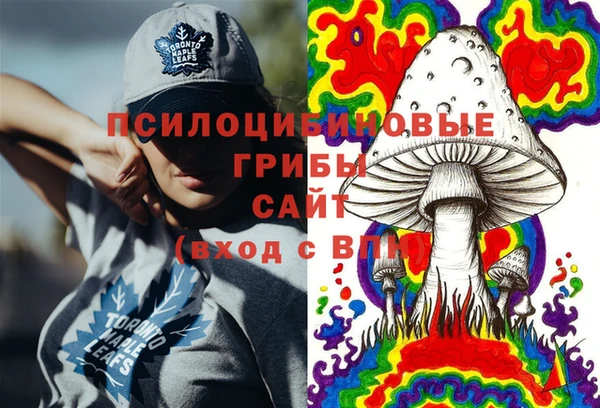 дмт Лабытнанги