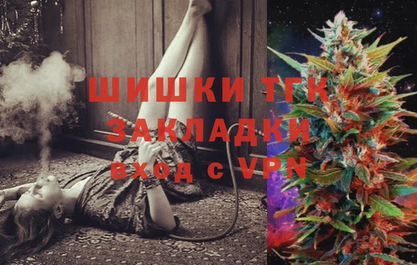 ECSTASY Лагань
