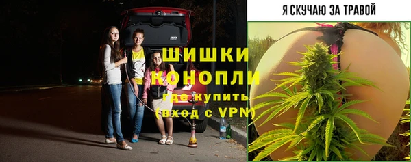 2c-b Ладушкин