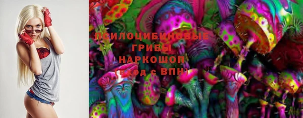 дмт Лабытнанги